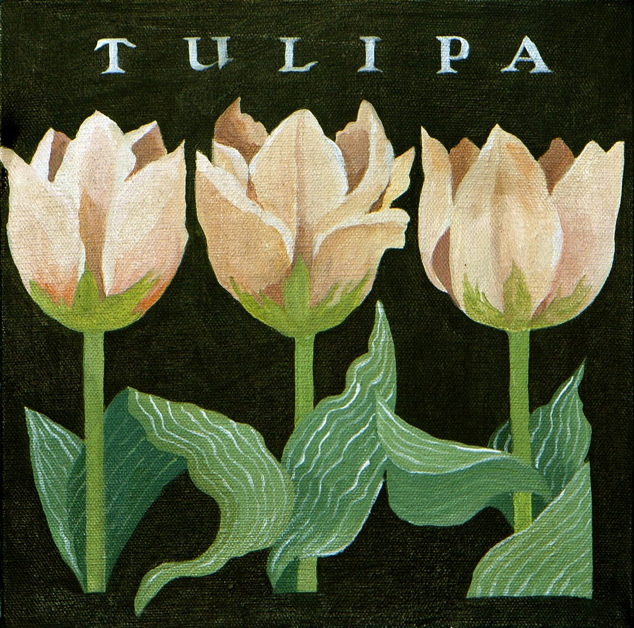 Tulipány, 2013 (akryl na plátně) od Jennifer Abbott