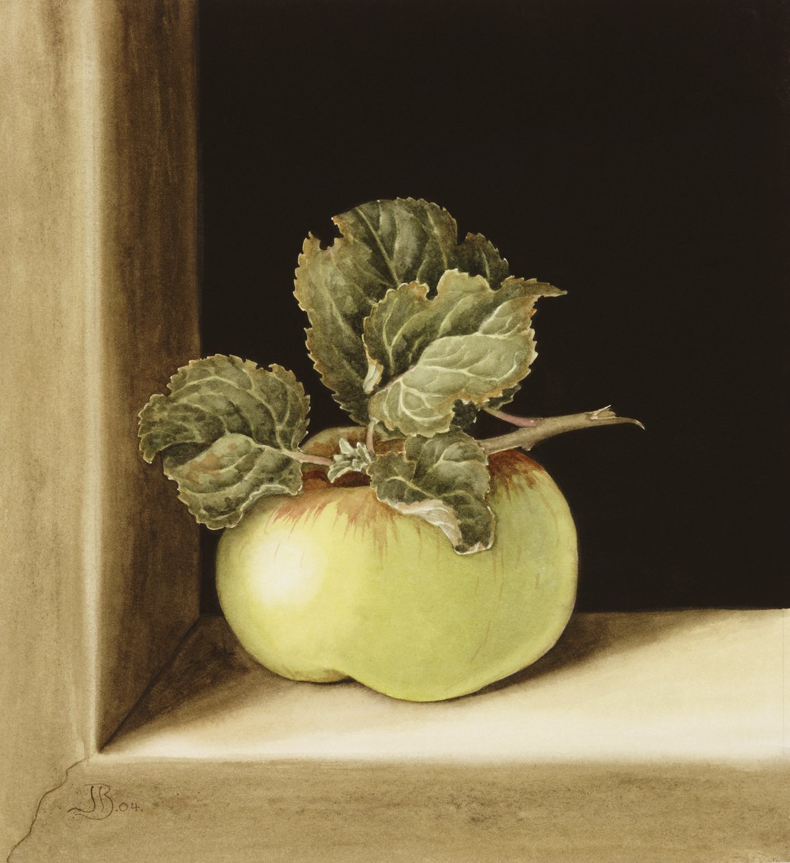 Apple (wc na papíře) od Jenny Barron