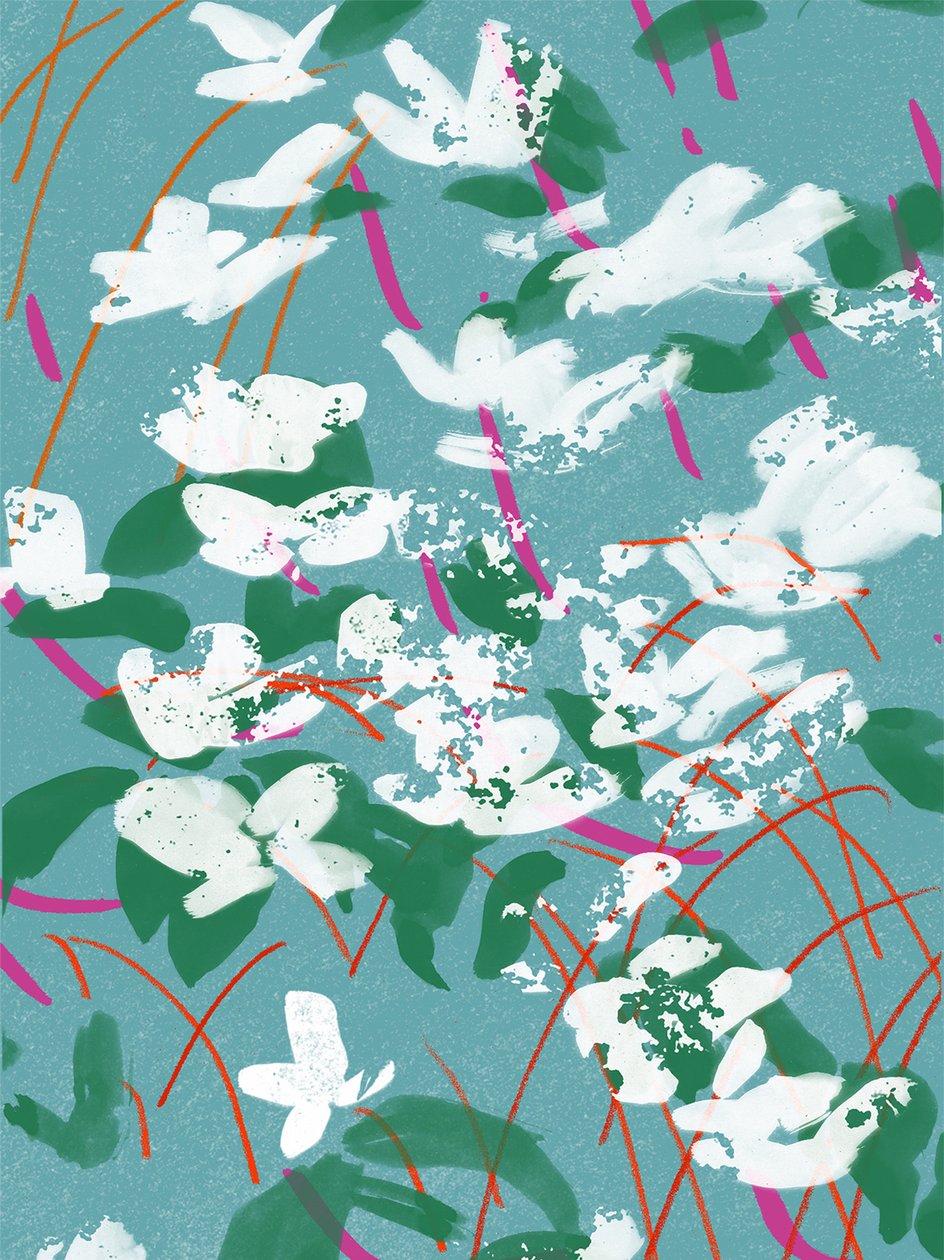 Teal Tales od Jenny Frean