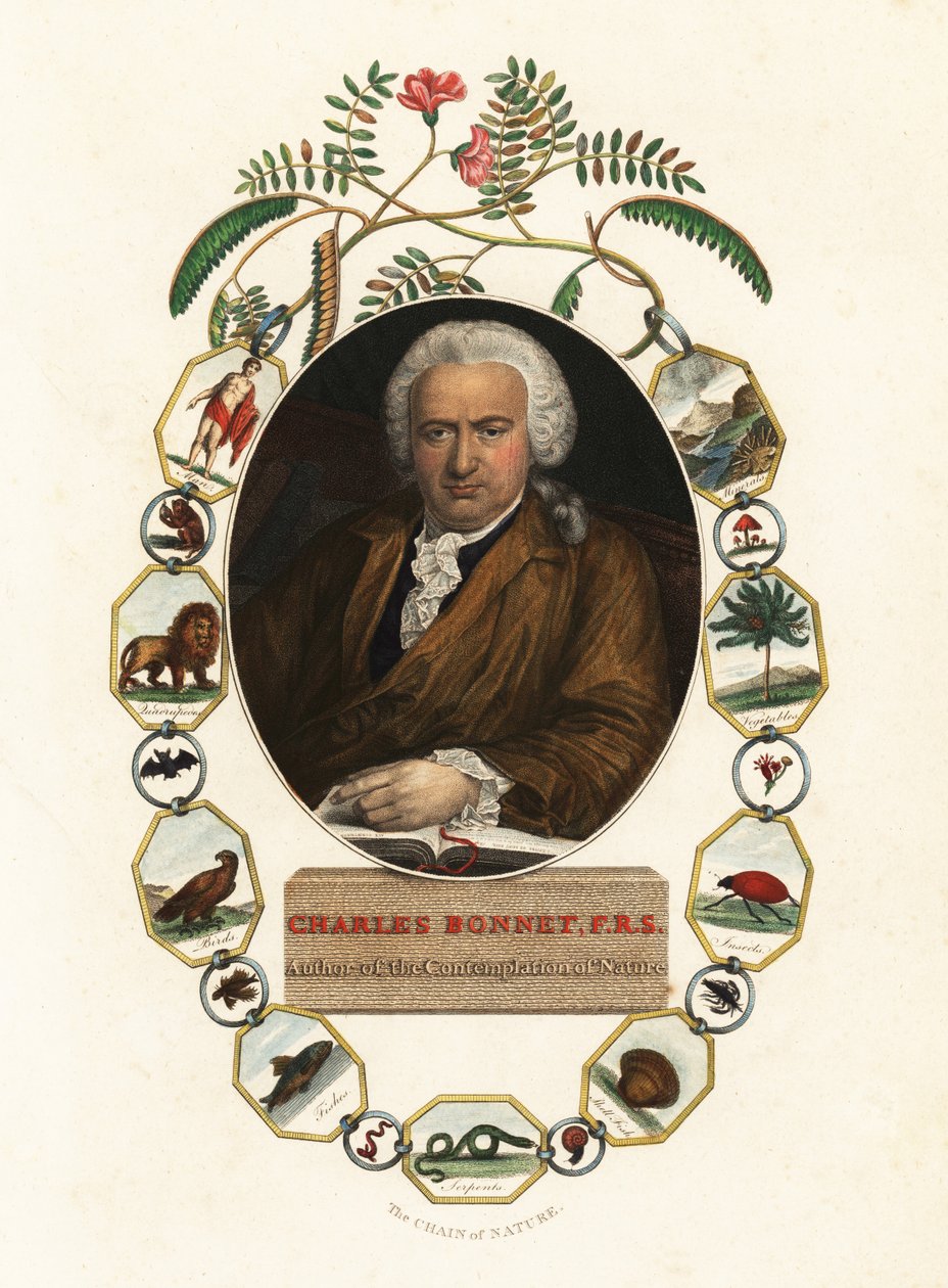 Portrét Charlese Bonneta, ženevského přírodovědce. 1803 (rytina) od Jens Juel