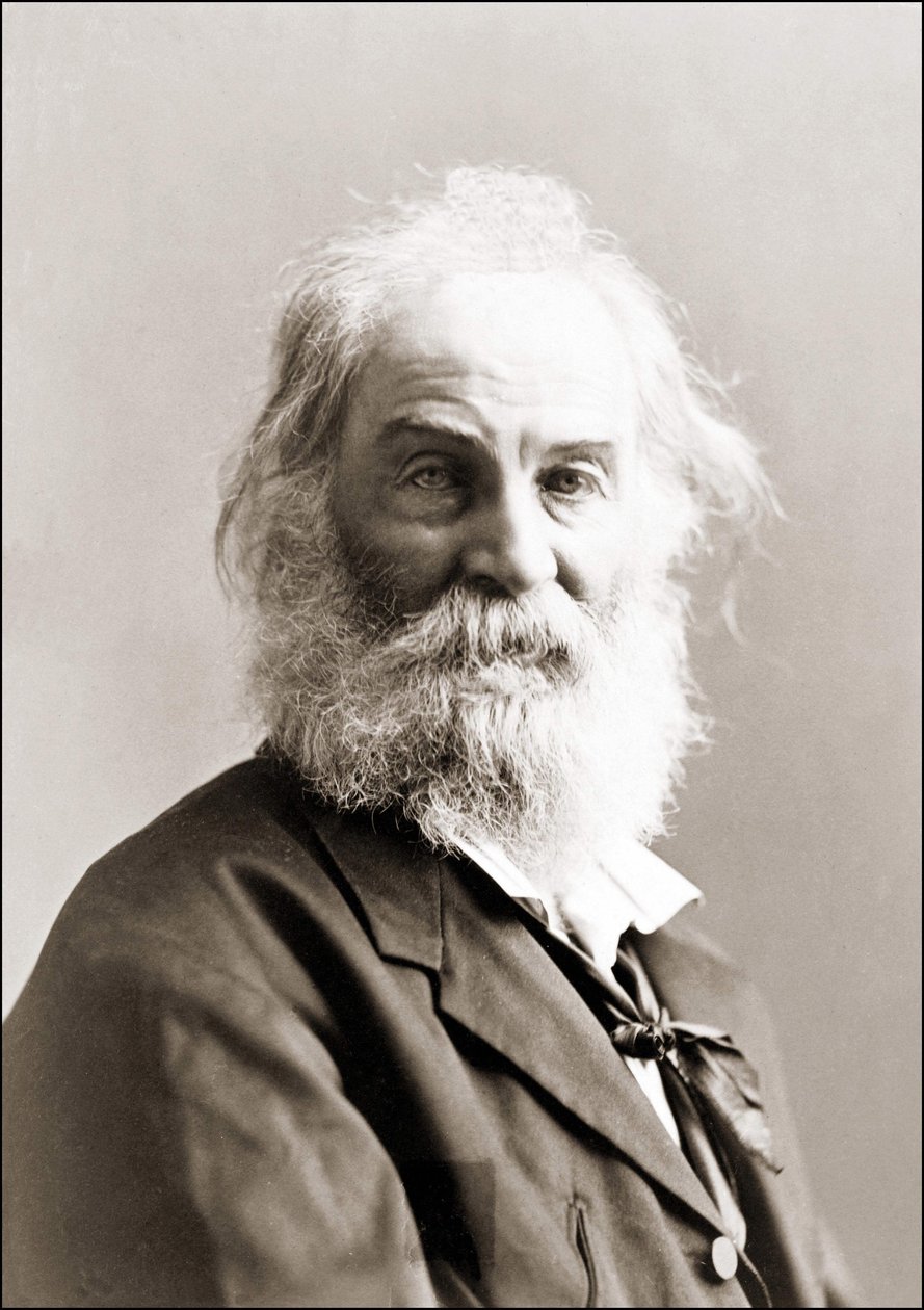 Portrét Walta Whitmana (1819 - 1892) od Gurneyho v letech 1880 až 1890. od Jeremiah Gurney