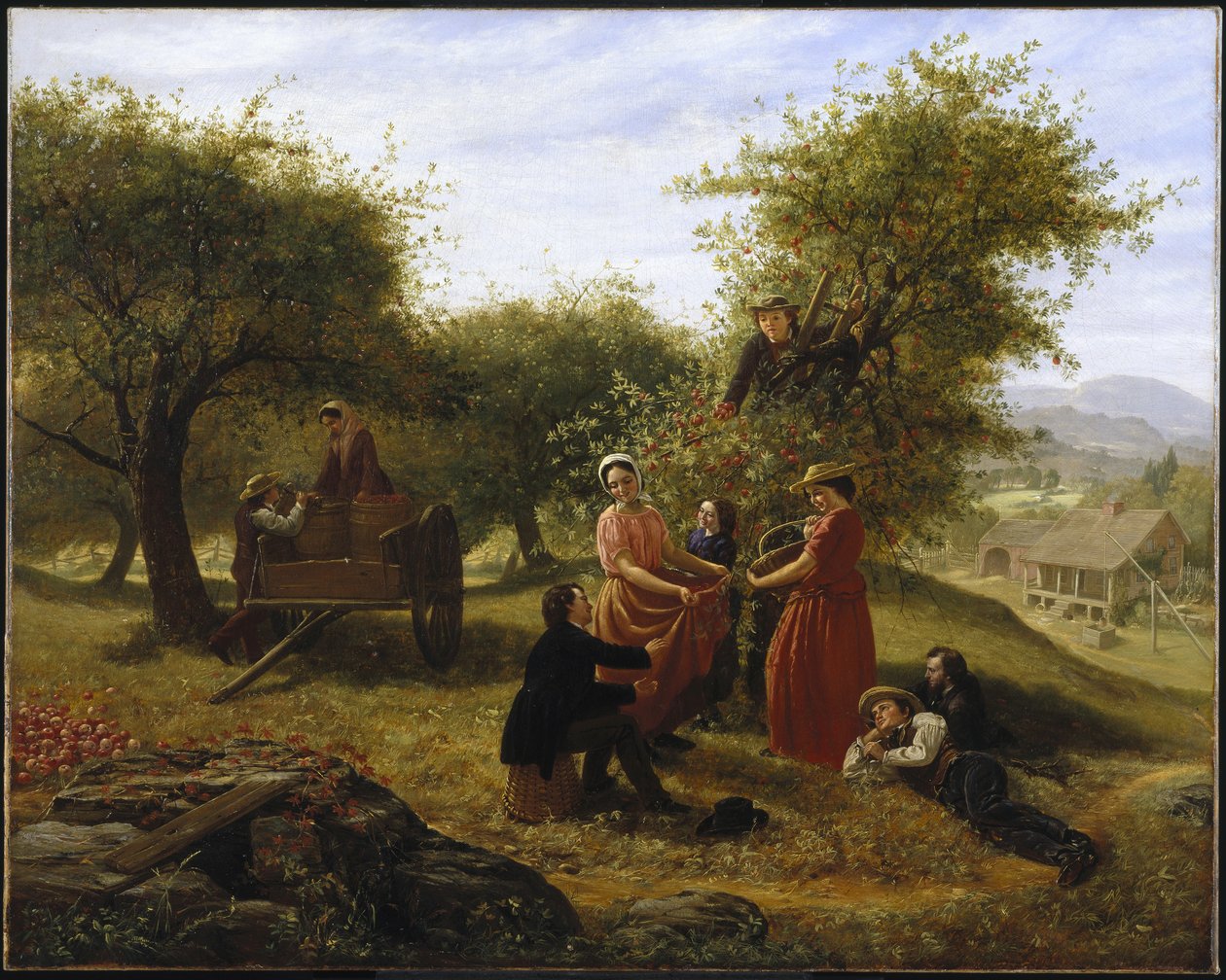 Shromáždění jablek od Jerome Thompson