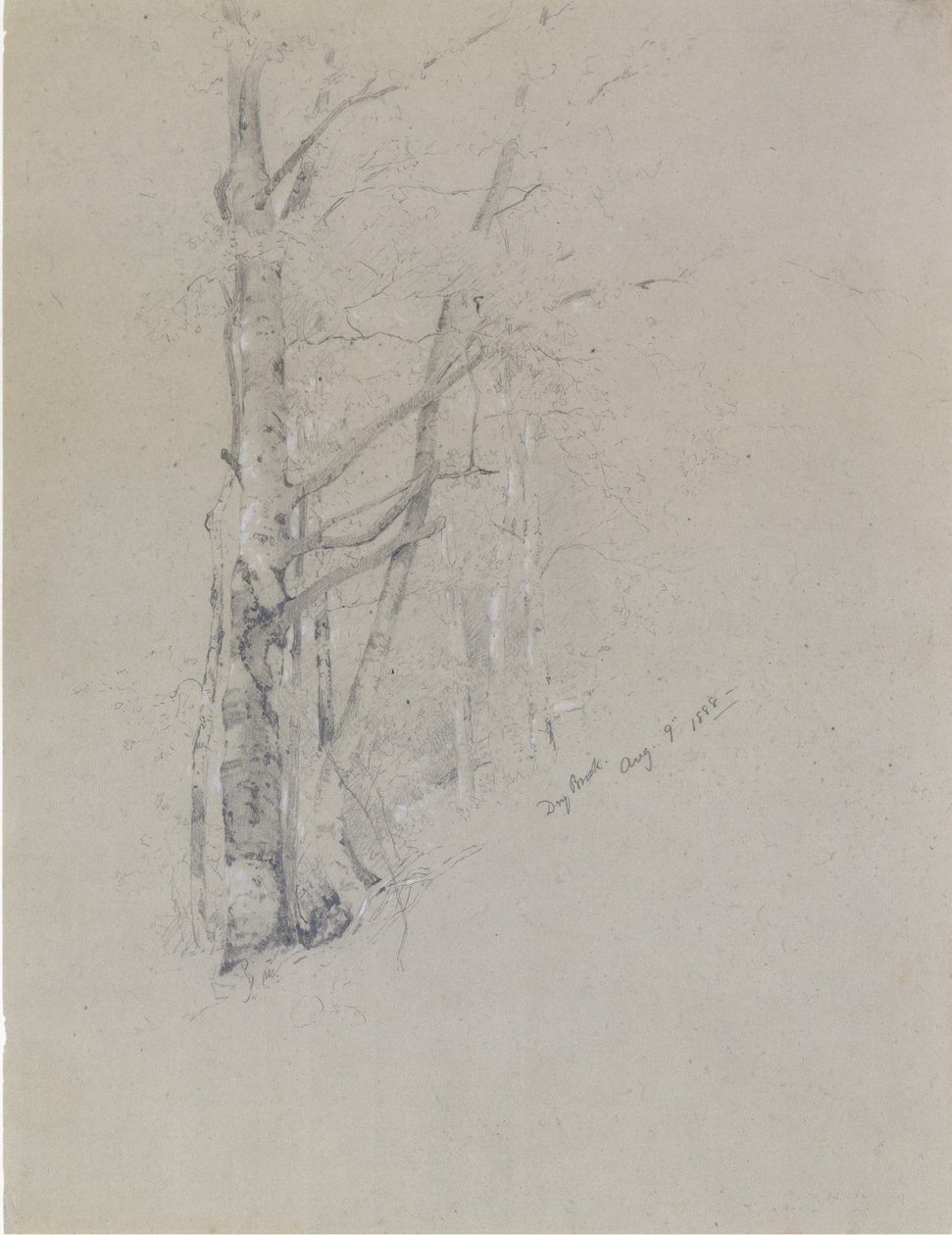 Suchý potok, 1888. od Jervis McEntee