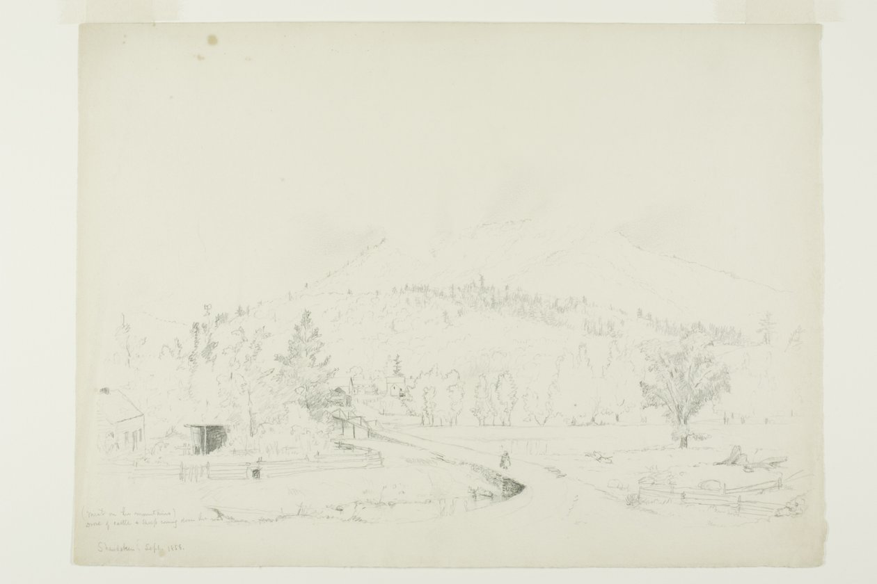 Mlha na horách od Jervis McEntee