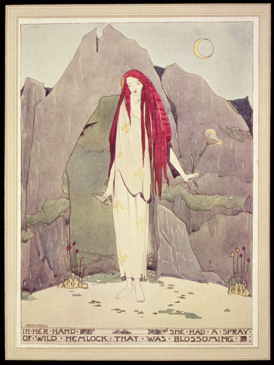 Ilustrace z 