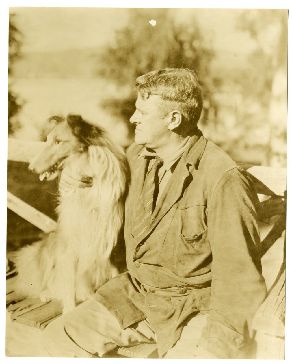 Albert Payson Terhune, spisovatel, kolem 1916-28 (želatinová stříbrná fotografie) od Jessie Tarbox Beals