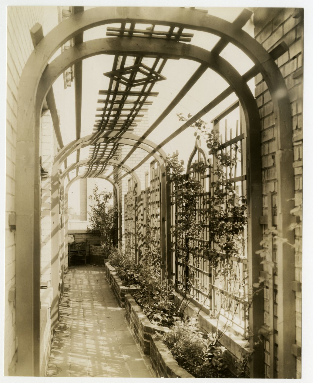 Zadní zahrada paní Reginy Jaisové, kolem roku 1936-37 (želatinová stříbrná fotografie) od Jessie Tarbox Beals