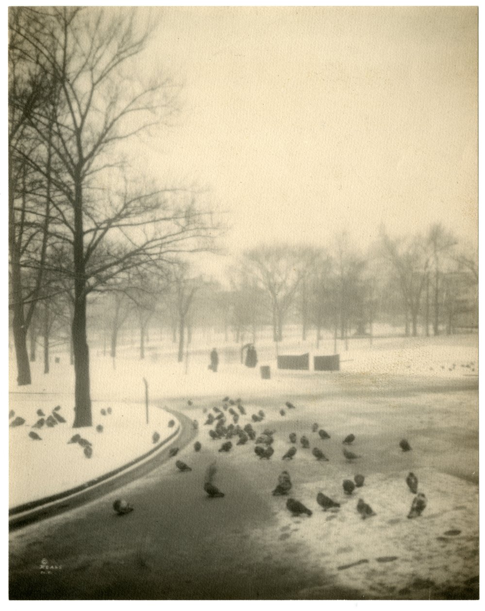 Boston Common, Boston, USA, kolem 1902-10 od Jessie Tarbox Beals