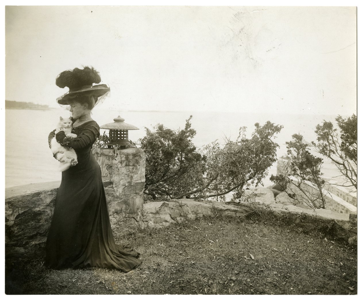 Ella Wheeler Wilcoxová na Sound Beach, Conn, asi 1905-11 (želatinová stříbrná fotografie) od Jessie Tarbox Beals