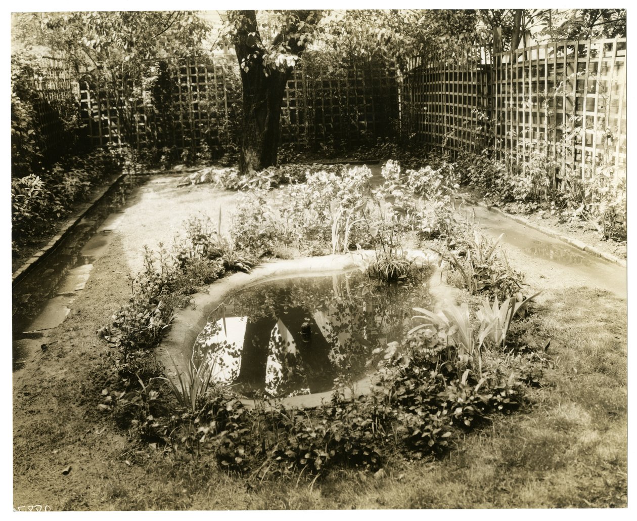 Garden of Mrs W H Wells 265 W 11th, Greenwich Village, New York, USA, cca 1936-37 (želatinová stříbrná fotografie) od Jessie Tarbox Beals
