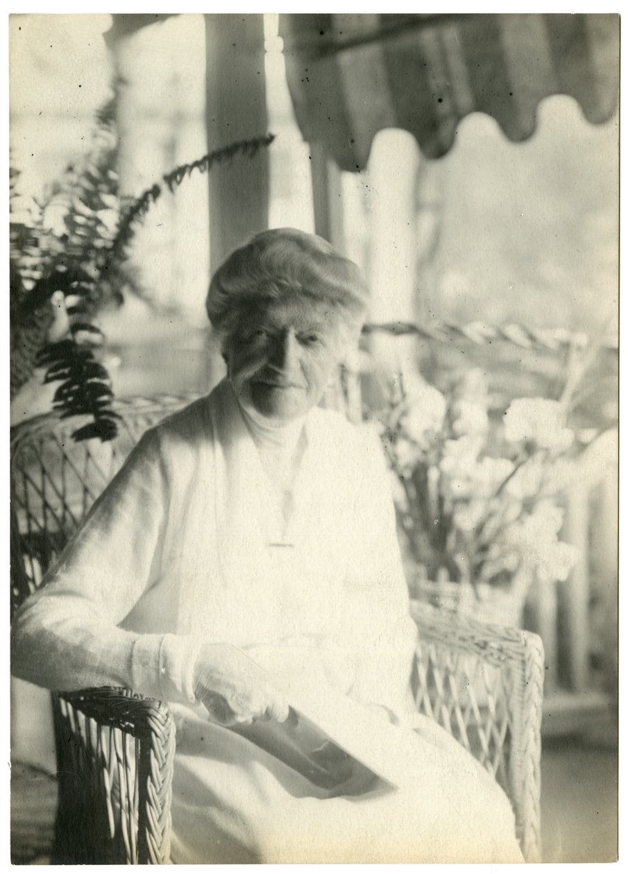 Paní L D James z Williamsburg Massachusetts, sestra Marshall Field, kolem 1905-28 (želatinová stříbrná fotografie) od Jessie Tarbox Beals