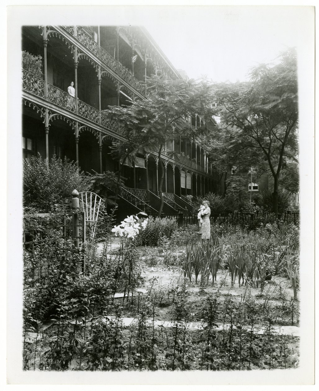 Rhinelander House gardens, W 11th St, Greenwich Village, New York, USA, cca 1905-38 (želatinová stříbrná fotografie) od Jessie Tarbox Beals