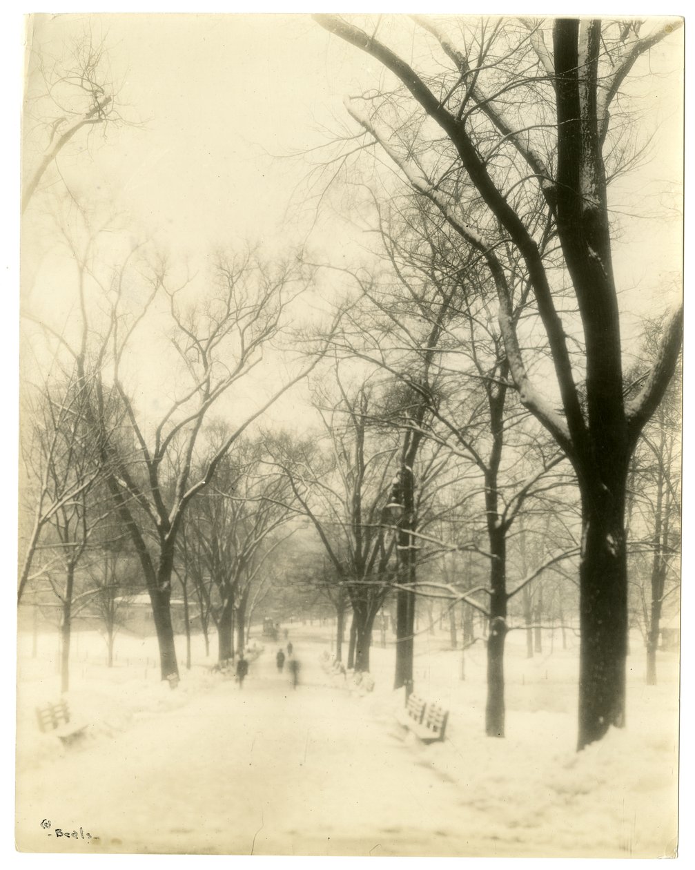 The Common, Boston, USA, cca 1902-10 (želatinová stříbrná fotografie) od Jessie Tarbox Beals