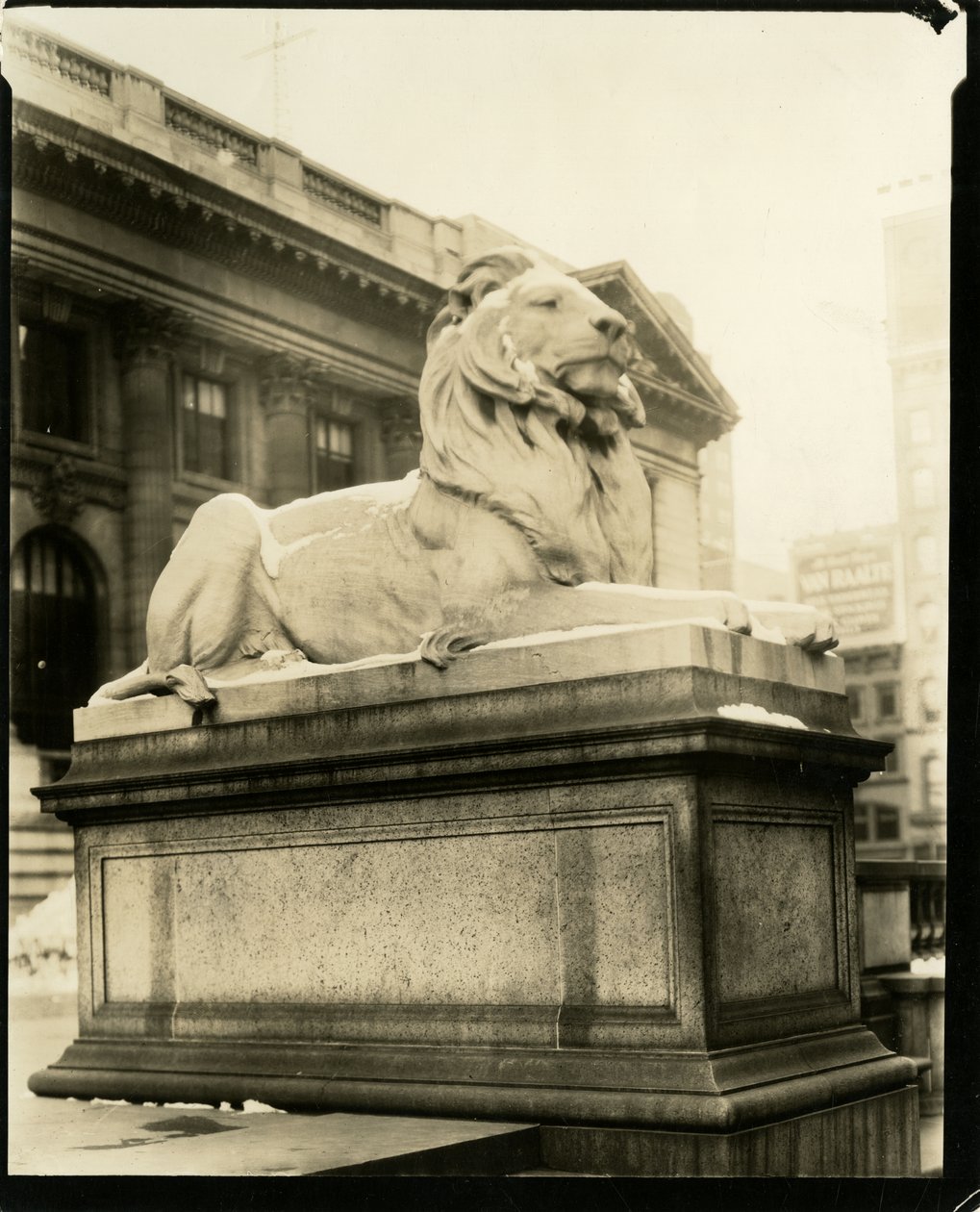 Povýšený lev před knihovnou Rozumí Gertrude Steinishové, New York, USA, cca 1905-1940 (želatinová stříbrná fotografie) od Jessie Tarbox Beals