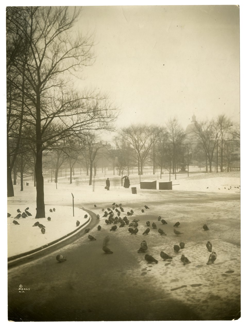 Neobvyklá zima v Common, Boston, USA, cca 1902-10 (želatinová stříbrná fotografie) od Jessie Tarbox Beals