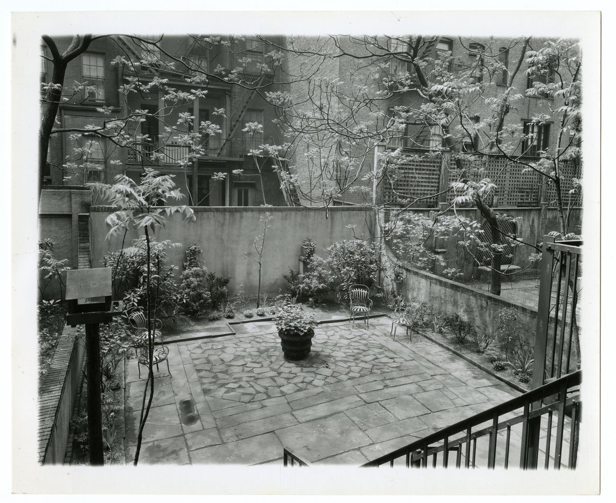zadní terasa s ptačím domem, New York, USA, cca 1905-40 (želatinová stříbrná fotografie) od Jessie Tarbox Beals