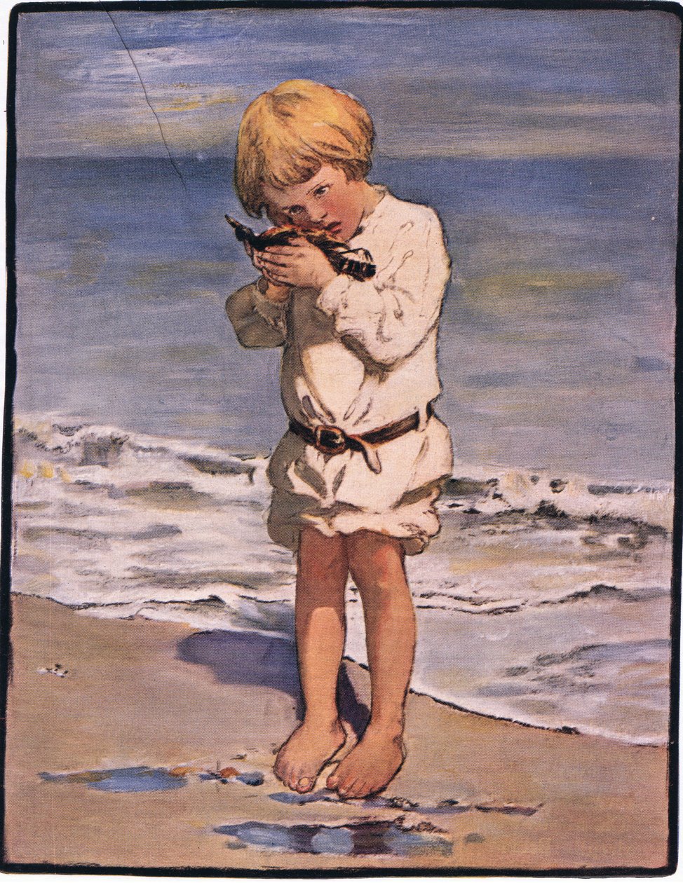 Objev Billyho chlapců byl mořský racek s poraněným křídlem (barva litho) od Jessie Willcox Smith