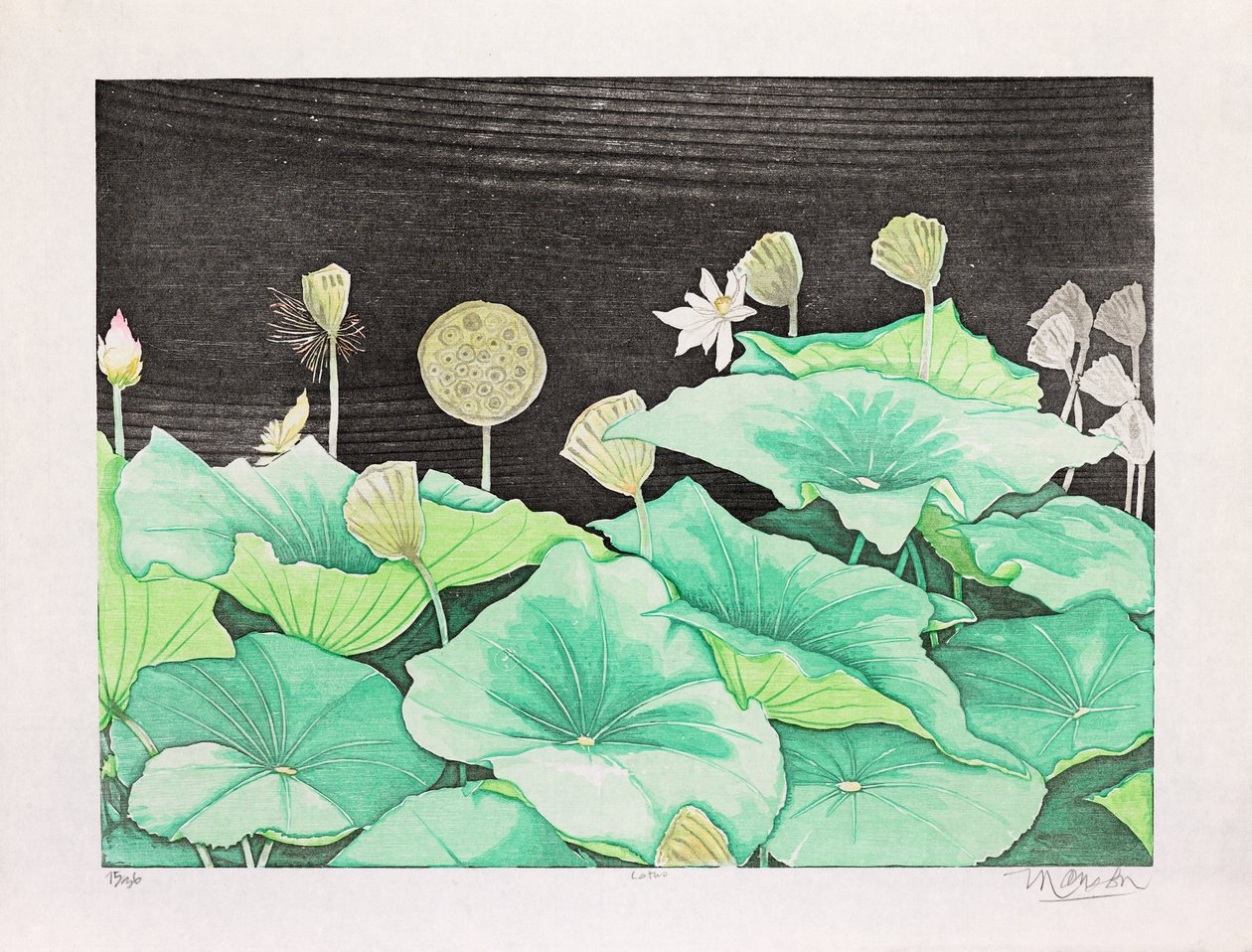 Lotus, 2016 (dřevořez) od Jim Monson