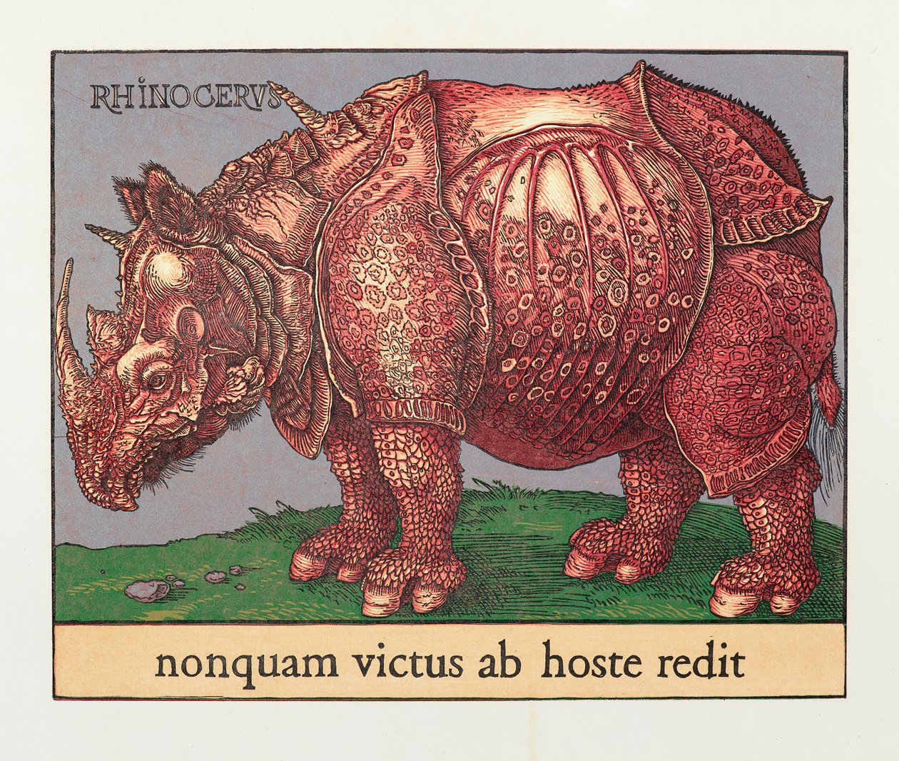 Red Rhino, 2007 (puupiirros) od Jim Monson