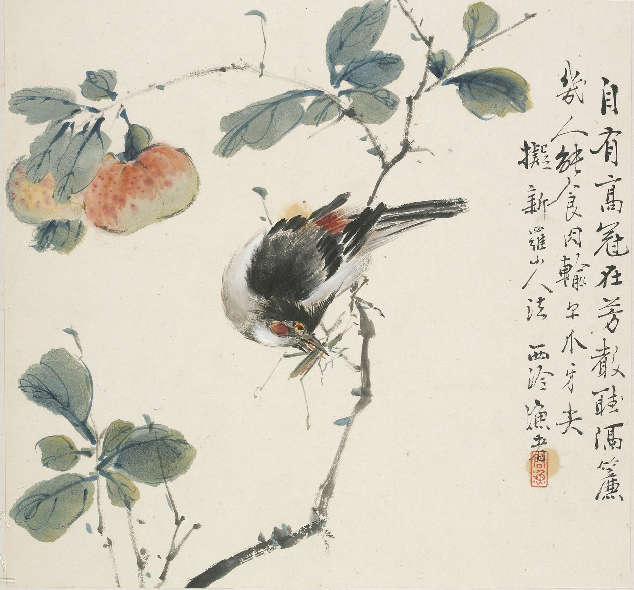 Čínský Hwamei jí kobylku, 1857 od Jin Yuan