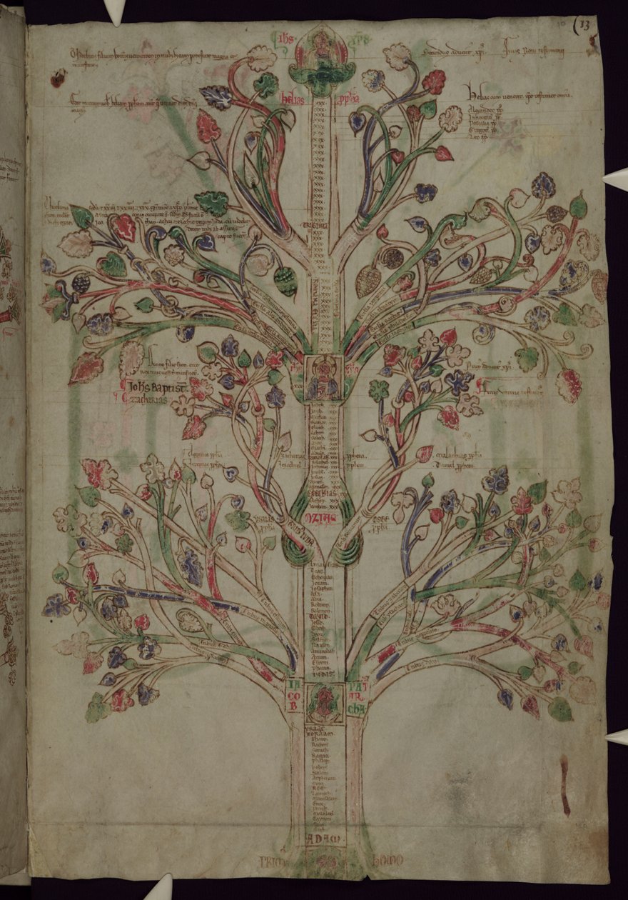 MS 255A fol.10r Strom života, z Liber Figuarum od Joachim of Fiore