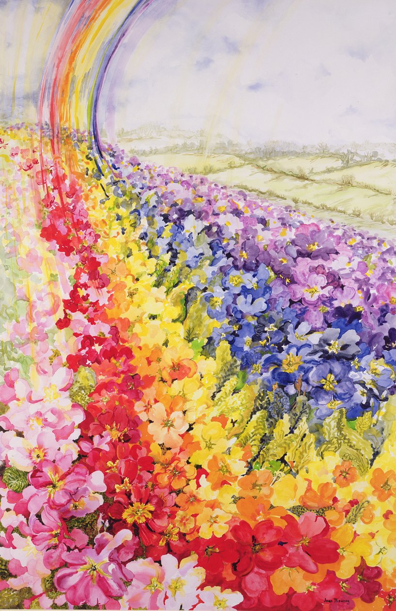 Primrose Rainbow od Joan Thewsey