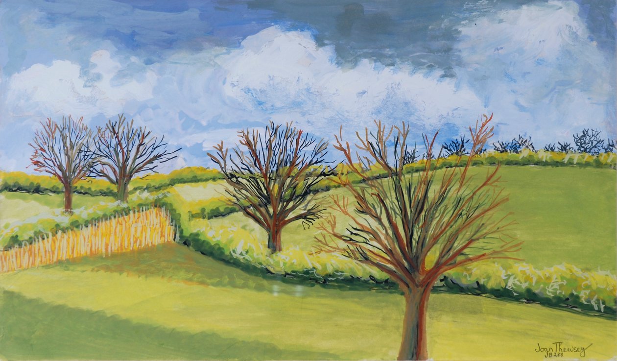 Suffolk Spring Sky od Joan Thewsey