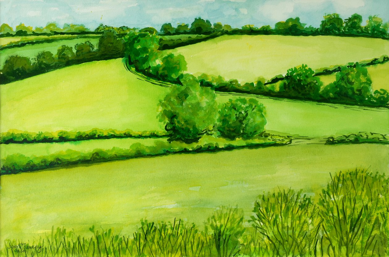 Letní krajina, 2010, akvarel od Joan Thewsey