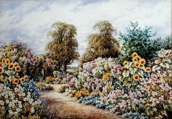 Garden Borders (akvarel na papíře) od Joan Molyneaux Stannard