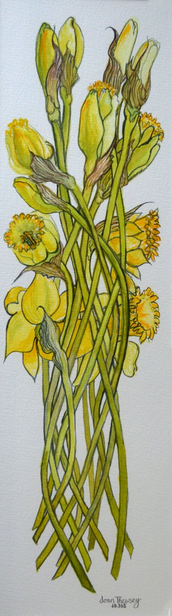 Narcisy, 2008, od Joan Thewsey