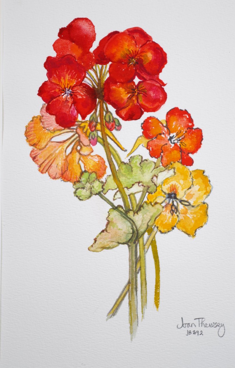 Pelargonie a nasturtium,2014,akvarel od Joan Thewsey