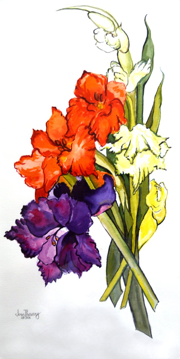 Gladioli, 2011 od Joan Thewsey