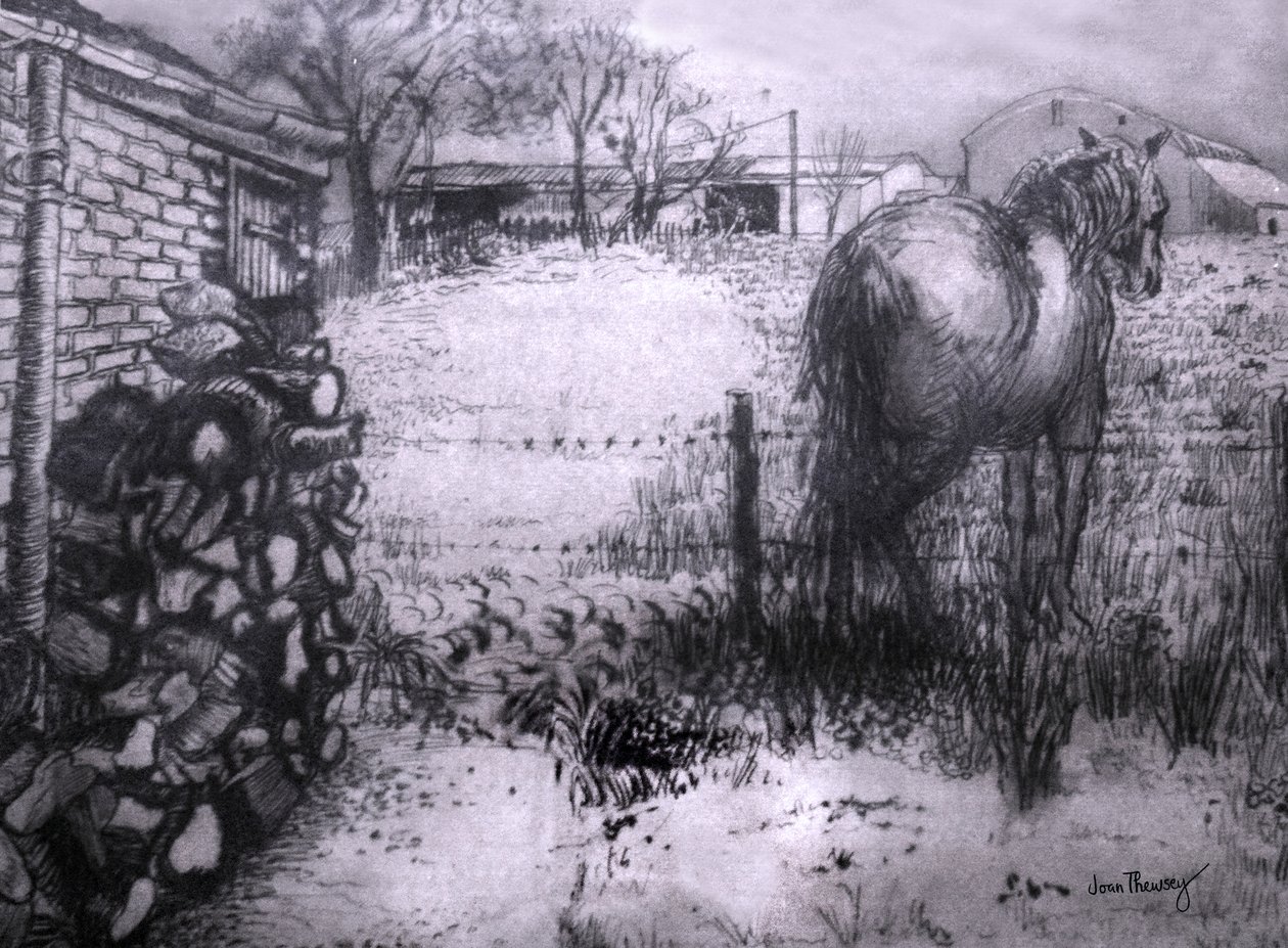 Kůň odpočívá nohu, 2000, (inkoust na mokrém ingresovém papíru) od Joan Thewsey