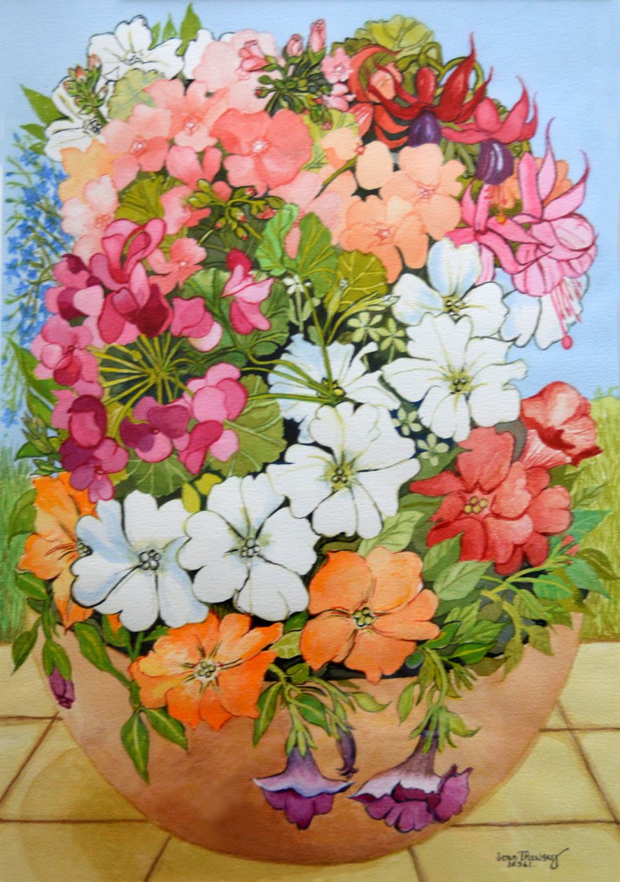 Petúnie, muškáty a fuchsie v terasovém květináči, 2005, od Joan Thewsey