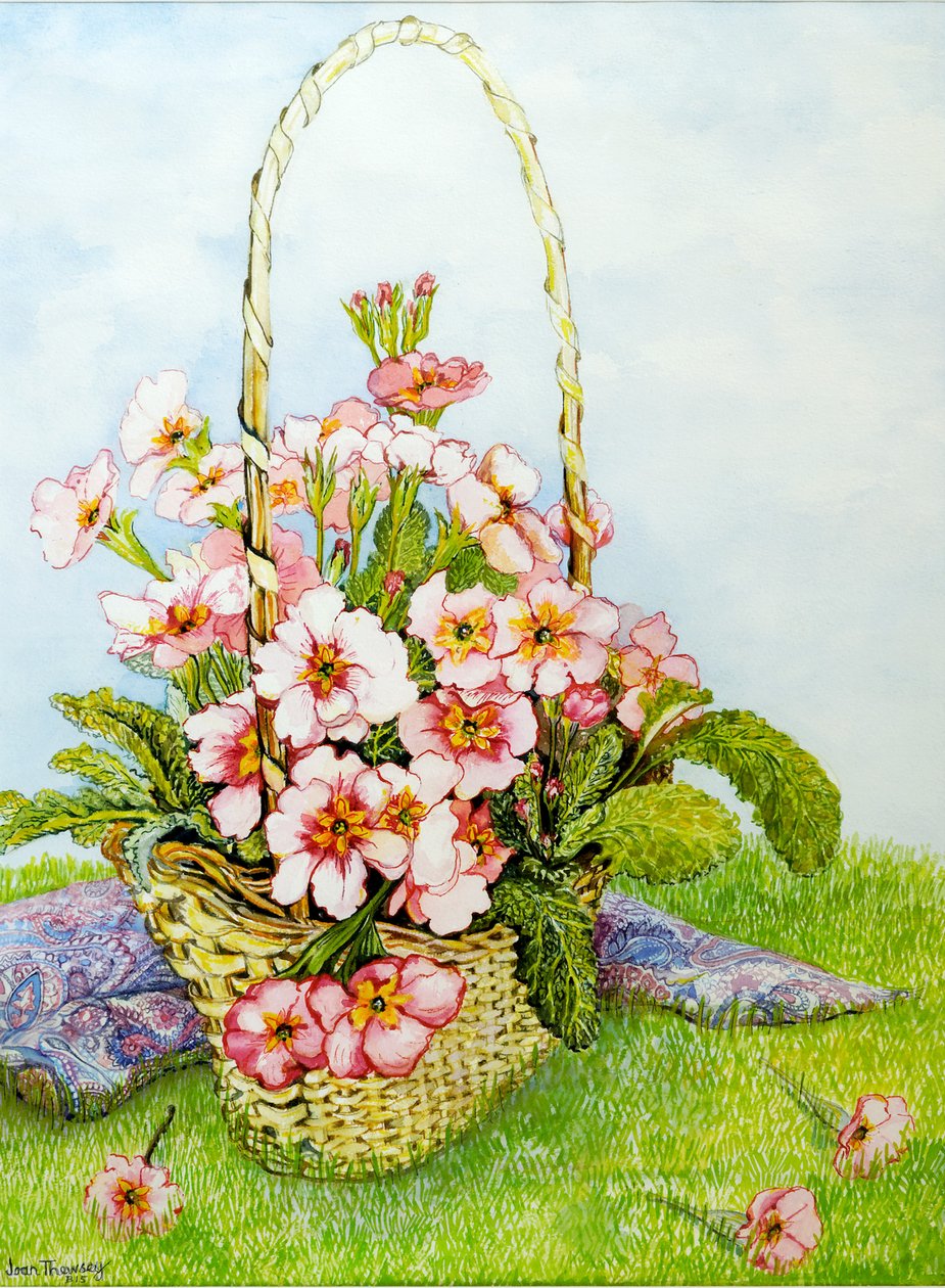 Růžové petrklíče v květinářství s šátkem Paisley, 2010, akvarel od Joan Thewsey