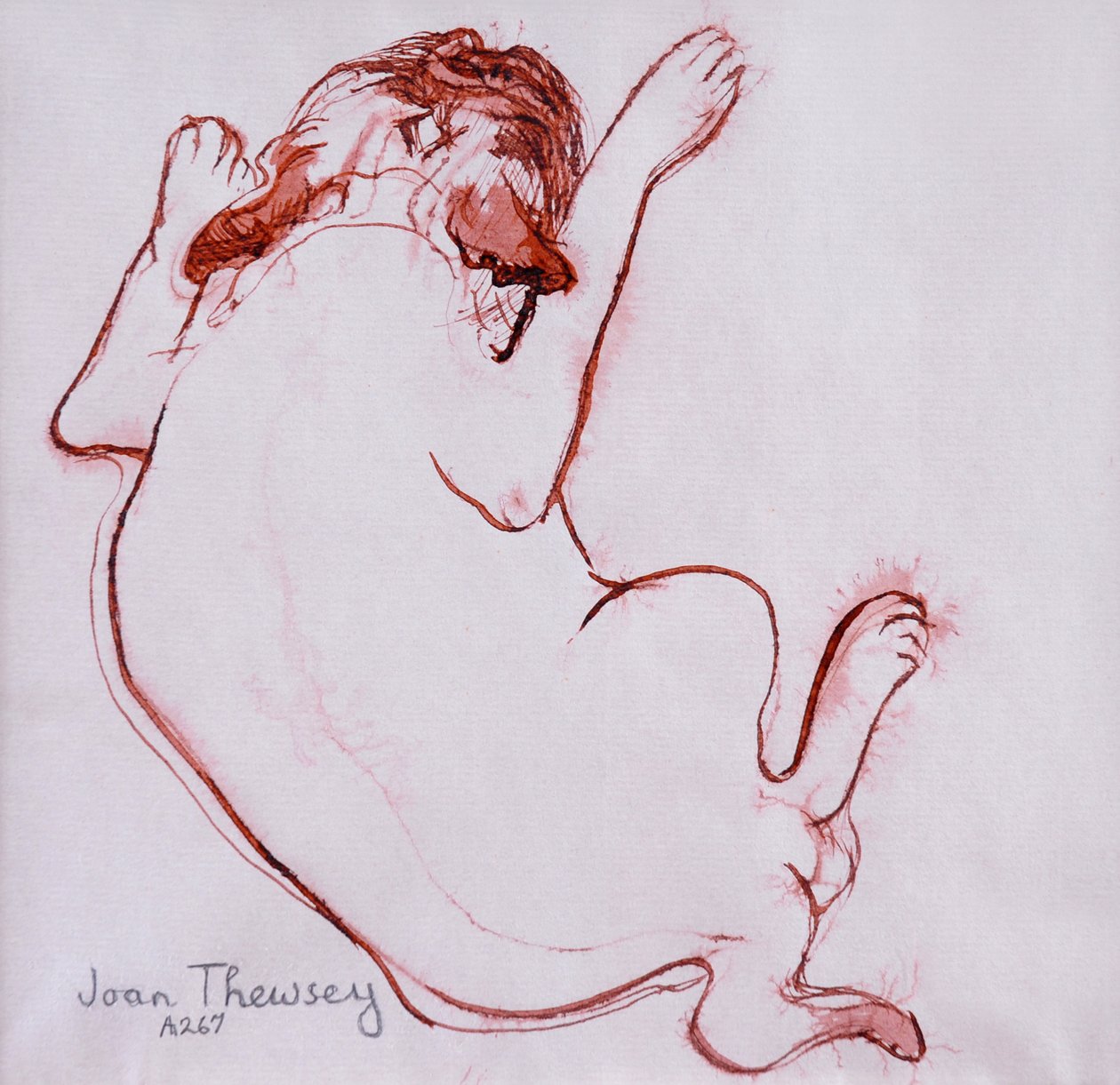 Pug Puppy 1, 2005, (Inkoust na mokrém papíře) od Joan Thewsey