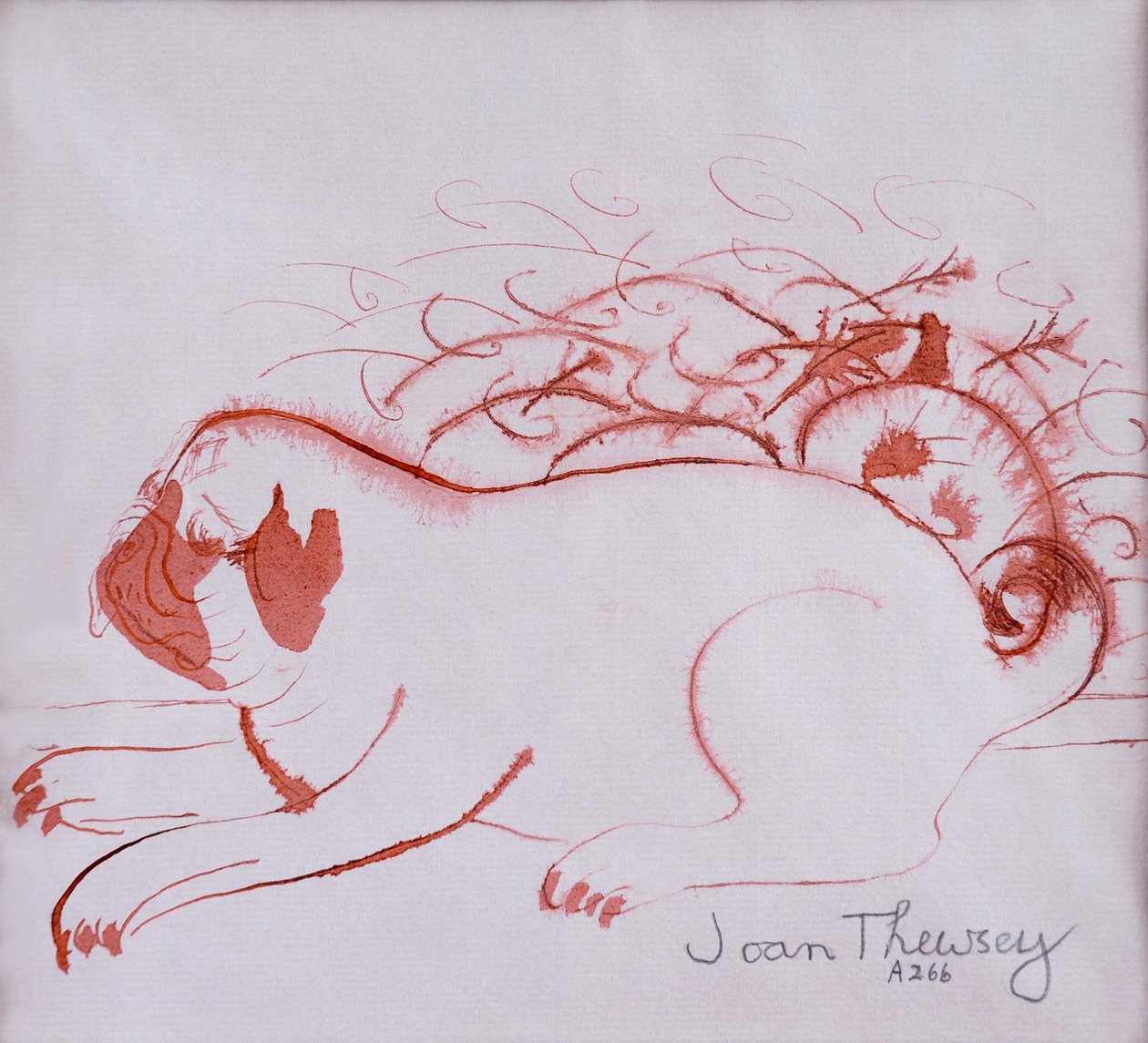 Pug Puppy 2,2005,(inkoust na mokrém papíře) od Joan Thewsey