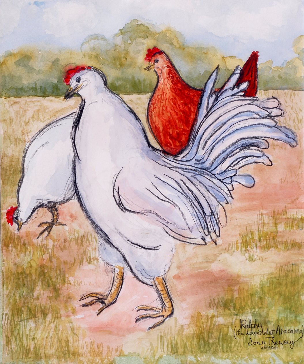 Ralfy, The Cockerel, 2005, (tužka a akvarel) od Joan Thewsey
