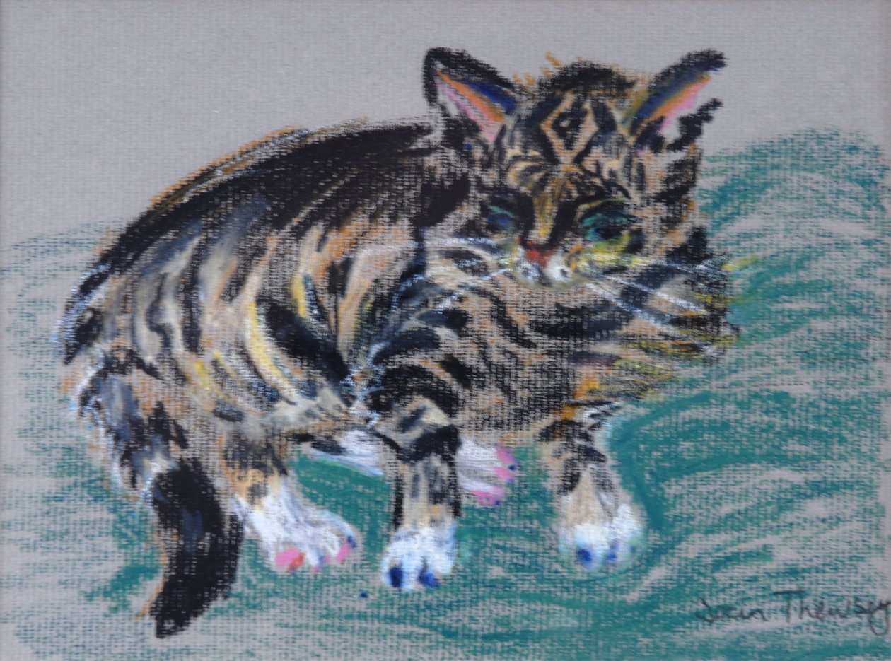 Mourovatá kočka, 2005 (pastel) od Joan Thewsey