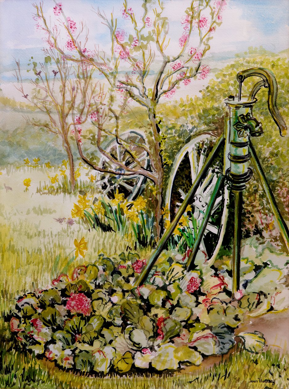 Zahradní pumpa,2010,akvarel od Joan Thewsey