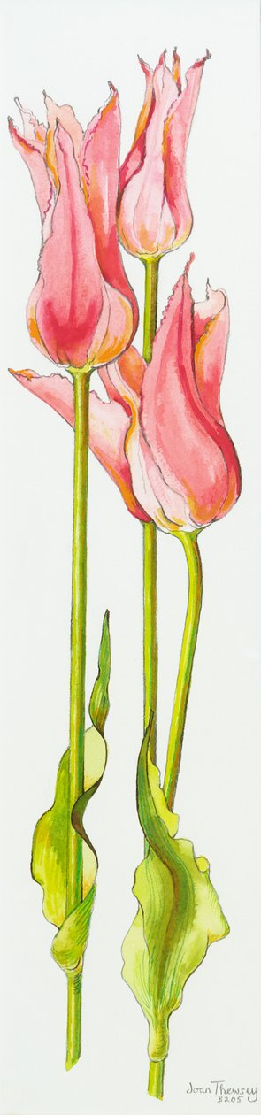 Tři červené tulipány s liliemi Marianne,akvarel,2010 od Joan Thewsey