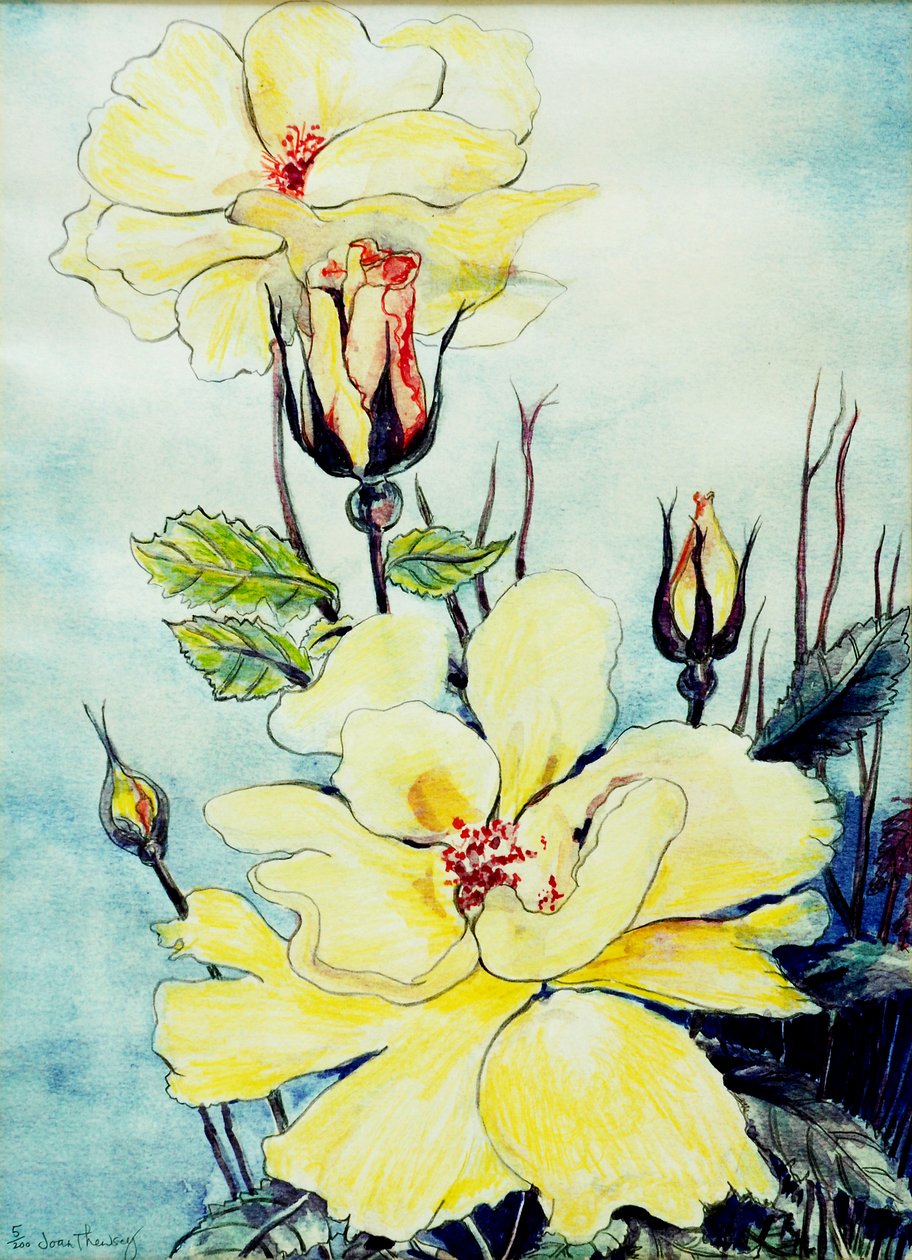 Yellow Rose in a Suffolk Breeze, 2005, (vodová barva) od Joan Thewsey