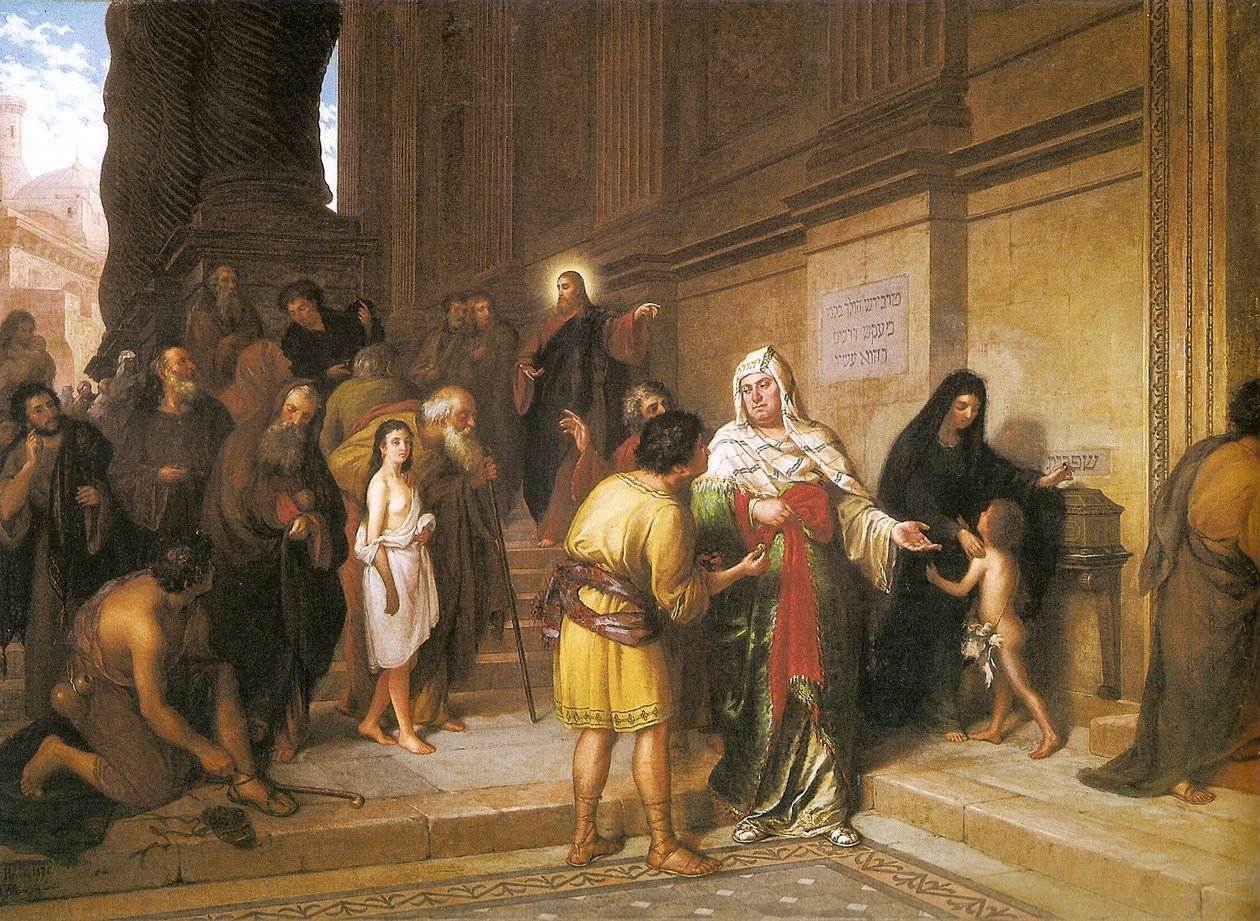 Vdova roztoč od Joao Zeferino da Costa
