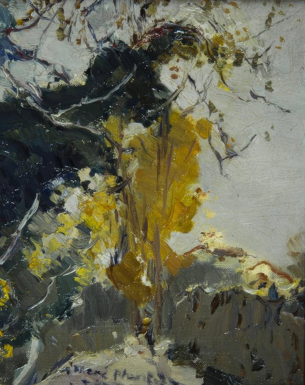 Baum od Joaquim Mir i Trinxet