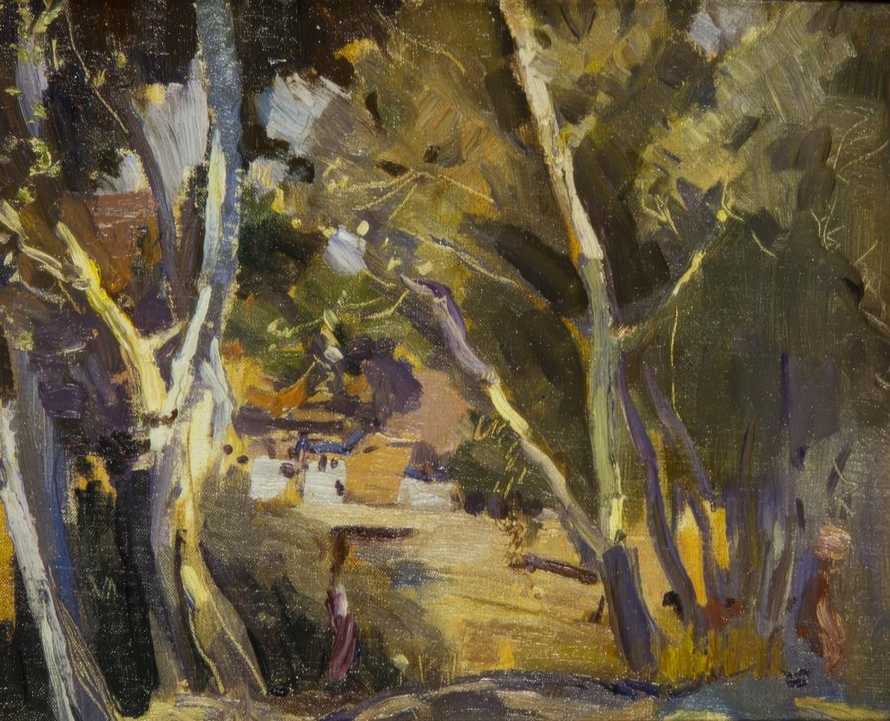 Miravet od Joaquim Mir i Trinxet