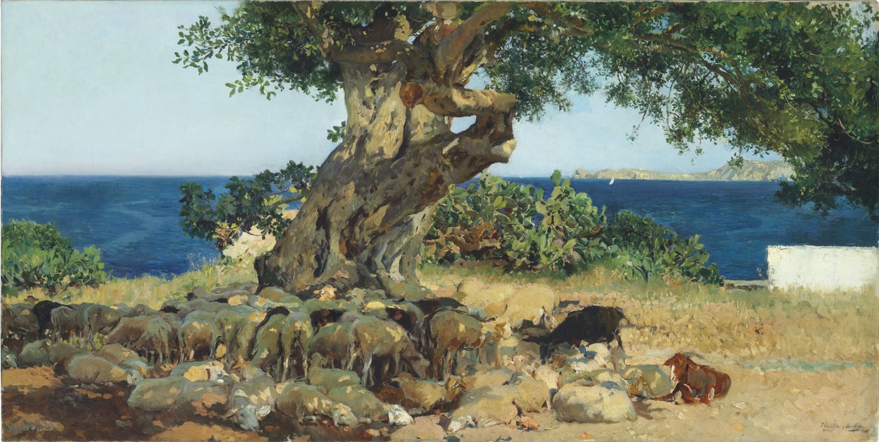 Rohovník od Joaquín Sorolla