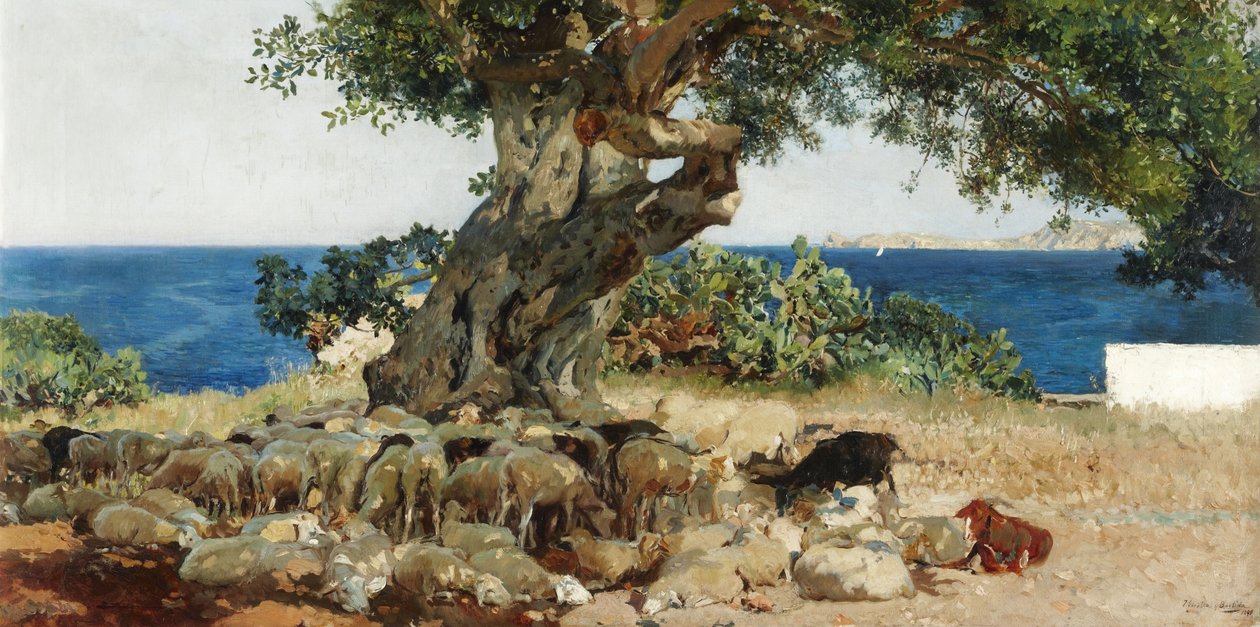 Algarrobo od Joaquín Sorolla