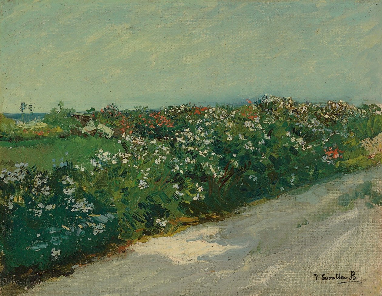 Malvarrosa od Joaquín Sorolla