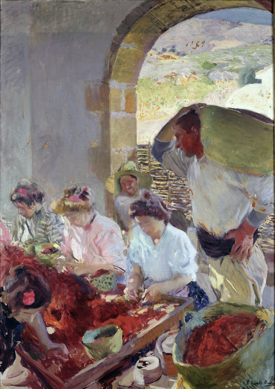 Příprava suchých hroznů, 1890 od Joaquín Sorolla