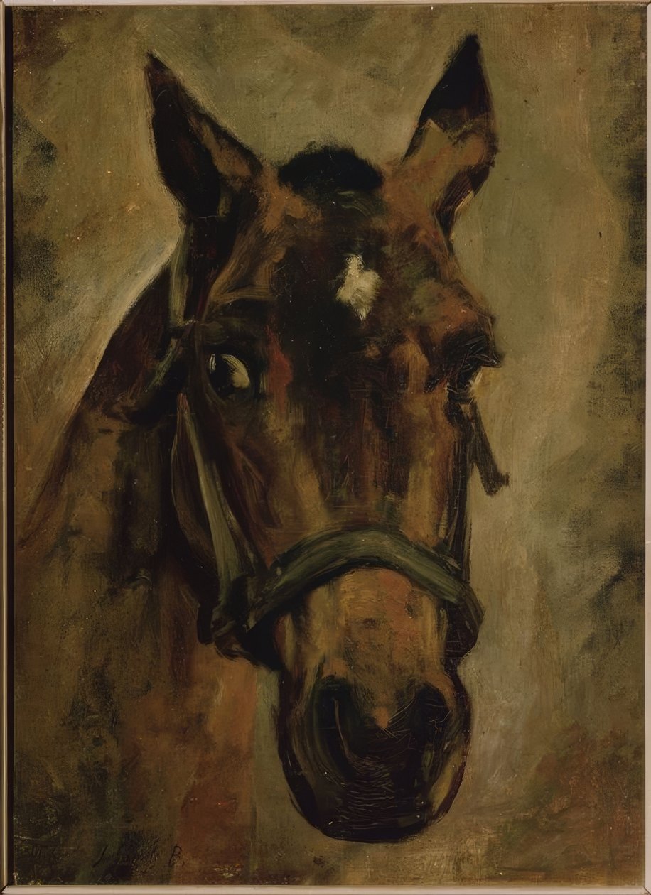 CABEZA DE CABALLO. Umělec: JOAQUIN SOROLLA. Místo: SOUKROMÁ KOLEKCE, MADRID, ŠPANĚLSKO od Joaquín Sorolla